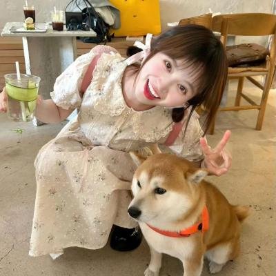 哥哥负妹 海报